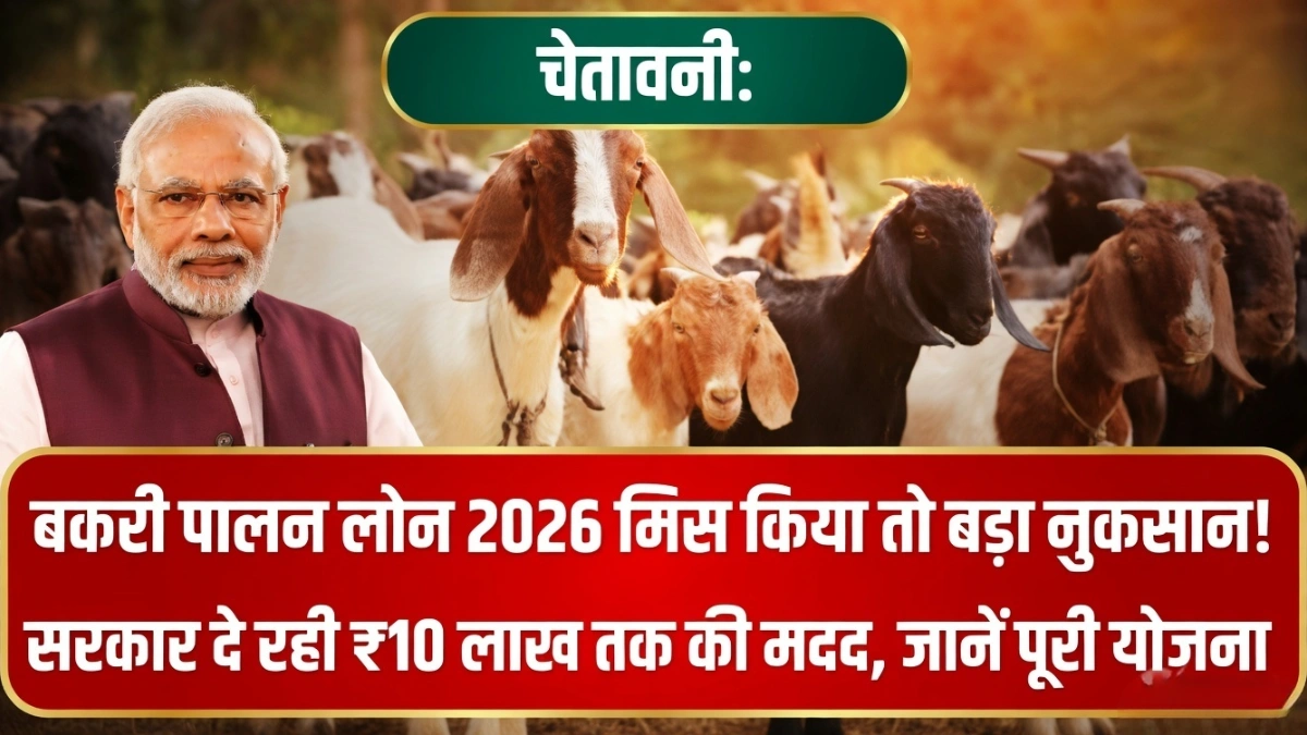 Goat Farming Loan 2026